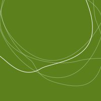 verde-04